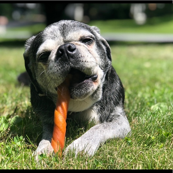 Meet your Posher, Christinia - Picture 1 of 1